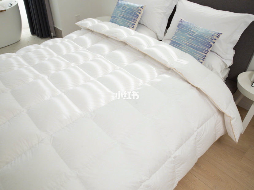 OBB鹅绒枕测评：睡过那么多枕头还落枕？那是你选错材质啦